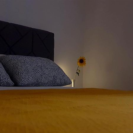 Casa Bella - Vracar Διαμέρισμα Βελιγράδι Εξωτερικό φωτογραφία